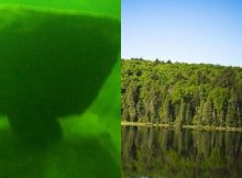 Mysterious Ancient Underwater Structure Beneath MacDonald Lake