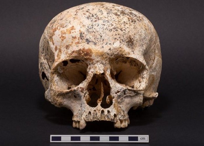 Skull of Ava
