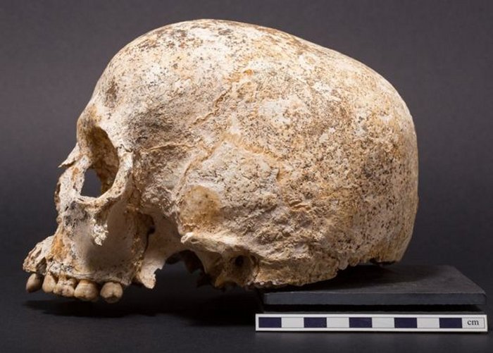 Skull of Ava