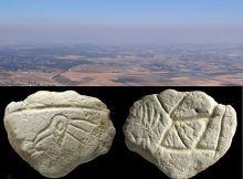 16,500-Year-Old Carving Of Bird’s Head Could Be One Of The Oldest Ritual Objects Ever Found In The Holy Land