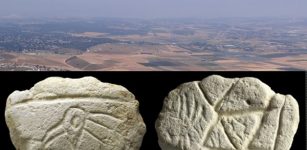 16,500-Year-Old Carving Of Bird’s Head Could Be One Of The Oldest Ritual Objects Ever Found In The Holy Land