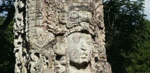 Stela H at Copán, commissioned by Uaxaclajuun Ub'aah K'awiil, one of the greatest kings in Copán's dynastic history, who was captured and executed by his former vassal, the king of Quiriguá. Image via Wikipedia