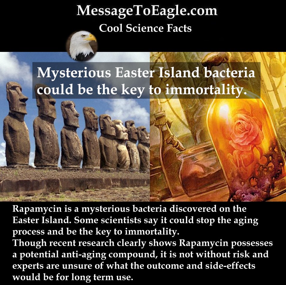 Cool Science Facts: Rapamycin: Mysterious Easter Island Bacteria Could Be The Key To Immortality