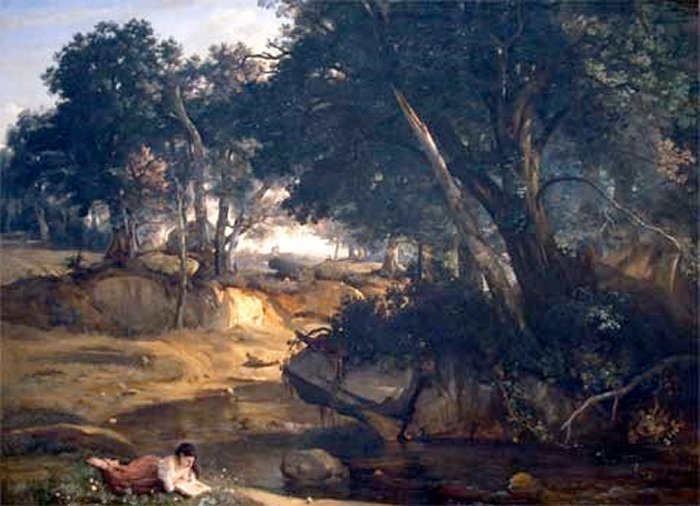 Forest of Fontainebleau