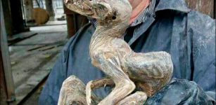 Mysterious “Mummy Monster” Found In Yakutia Could Be Unknown Species Of Dinosaur