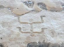 petroglyph shawaii