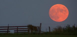 Harvest of the Moon