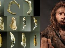 Neanderthals Created Jewelry 40,000 Years Ago - Discovery At Grotte Du Renne Cave Reveals