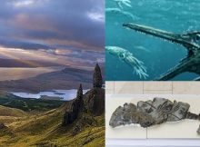 Storr Lochs Monster: 170-Million-Year-Old Fossilized Remains Of Huge Sea Monster Discovered In Scotland