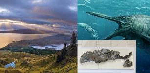 Storr Lochs Monster: 170-Million-Year-Old Fossilized Remains Of Huge Sea Monster Discovered In Scotland