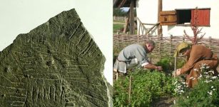 Spectacular 5,000-Year-Old Stone Map Discovered In Denmark Sheds New Light On Ancient Farming