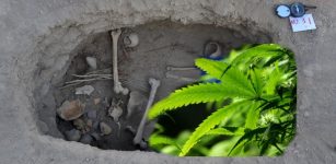Ancient Cannabis Burial Shroud Discovered At Silk Road Oasis