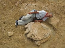 Giant dinosaur footprint in the Gobi Desert