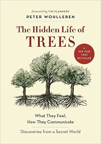 The Hidden Life of Trees: What They Feel, How They Communicate—Discoveries from a Secret World