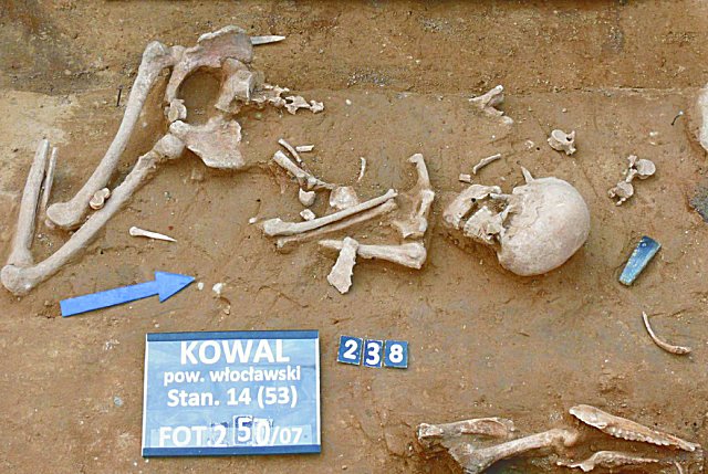 Human burial, located near a monumental structure built of boulders weighing hundreds of kilograms. Photocredits: Photo by G. Osipowicz