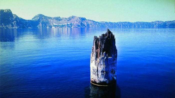 The Old Man Of Crater Lake: Mysterious Tree Trunk That Has Defied The Laws Of Physics