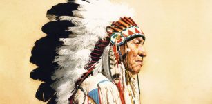 Native American population