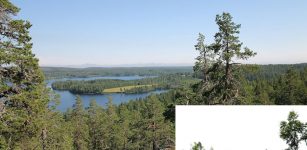 Spir Mountain Cairns: Prehistoric Ancient Monuments To The Dead In Northern Sweden