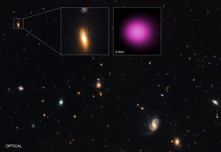 The location and brightness of the optical source in the Hubble image that may be associated with XJ1417+52 suggest that the black hole could have originally belonged to a small galaxy that plowed into the larger GJ1417+52 galaxy, stripping away most of the galaxy’s stars but leaving behind the black hole and its surrounding stars at the center of the small galaxy. Credits: X-ray: NASA/CXC/UNH/D.Lin et al; Optical: NASA/STScI