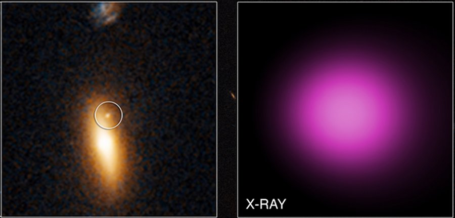 Chandra data show this object gave off a tremendous amount of X-rays, which classifies it as a "hyperluminous X-ray source". Credits: X-ray: NASA/CXC/UNH/D.Lin et al; Optical: NASA/STScI