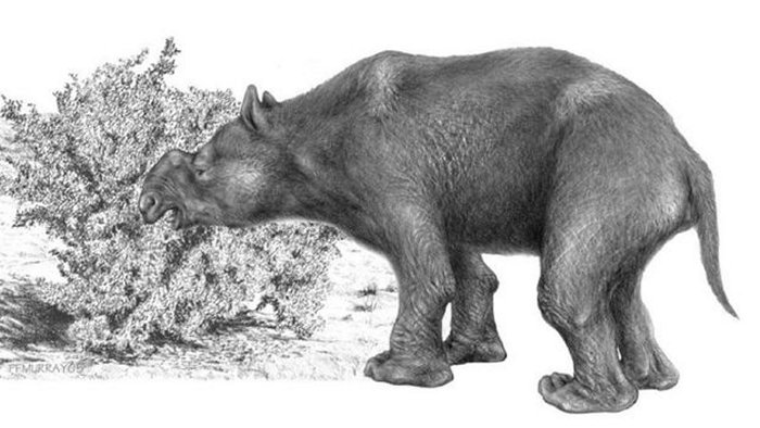 Diprotodon