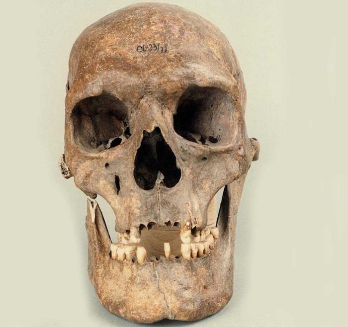 Skeleton Of Medieval Giant Woman Discovered In Poland – Now Examined