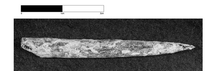 Old needle discovered in Australia