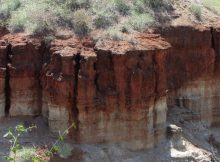 Olduvai Gorge, Tanzania