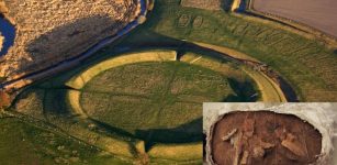 Astonishing Discovery Of 1,000-Year-Old Viking Box At Circular Fortress ‘Vallø Borgring’ In Denmark