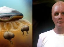 Will Aliens Look Like Humans Or Enormous Jelly-Fish