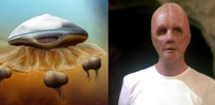 Will Aliens Look Like Humans Or Enormous Jelly-Fish