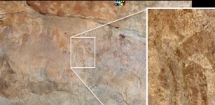 World’s Oldest Depiction Of Plants Cooked In Ancient Pottery Discovered