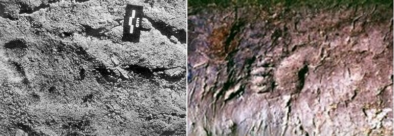 26,000-Year-Old Footprints In Chauvet Cave: Oldest Evidence Of Human-Canine Relationship
