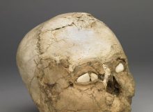 Jericho Man - skull found in Jericho in 1950s