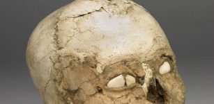 Jericho Man - skull found in Jericho in 1950s