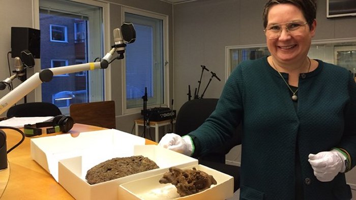 2,000-Year-Old Artifacts Rewrite History Of Metallurgy In Northern Sweden