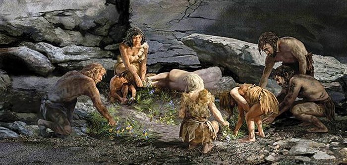 Neanderthals