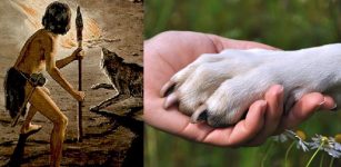 26,000-Year-Old Footprints In Chauvet Cave: Oldest Evidence Of Human-Canine Relationship