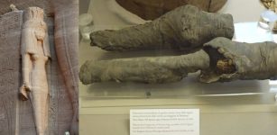 Queen Nefertari mummified legs