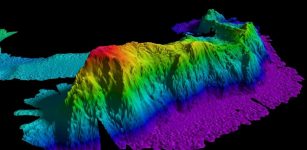 Seamounts - Underwater habitats for marine life