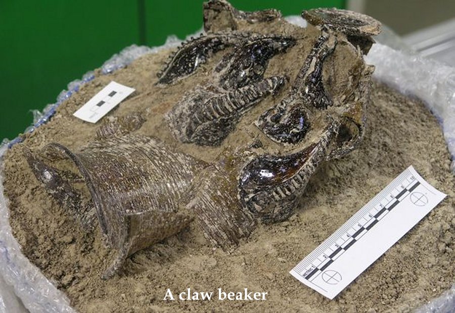 Anglo-Saxon village - A claw beaker