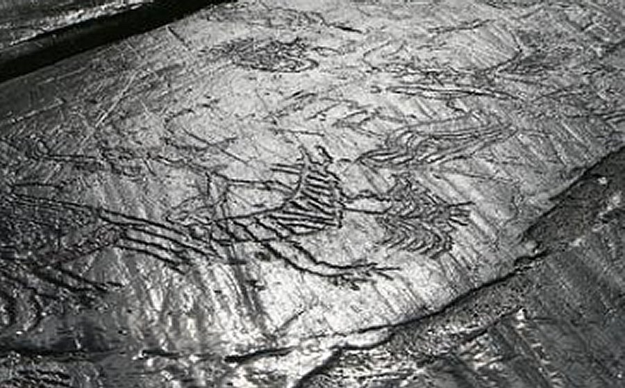 Ausevik rock art, Norway