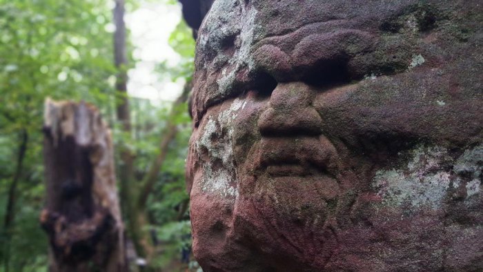Dunino Den: Mysterious Ancient Site In Scotland With Enigmatic Faces And Symbols Carved In Rocks