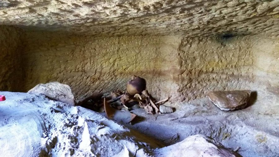 Skeletons found in the newly discovered tombs (Photo: Nevine El-Aref)