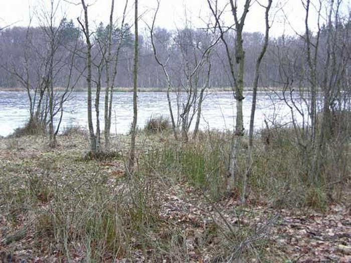 Unsolved Mystery Of The Huldremose Woman: One Of The Best Preserved Bog Bodies Ever Found