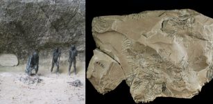 Neanderthals Decorated Their Caves With Rocks 130,000 Years Ago – Find At Krapina Site Reveals