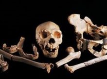 World's Oldest DNA Of An Unknown Human Ancestor Could Rewrite Our History