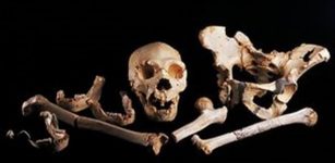 World's Oldest DNA Of An Unknown Human Ancestor Could Rewrite Our History