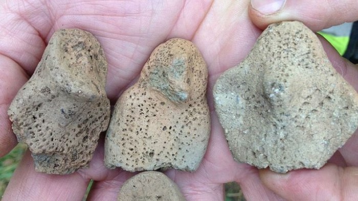 Remarkable 4,500-Year-Old Human-Like Figurines Found In Sweden Could Be First Depictions Of Norse Gods