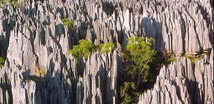 Spectacular Tsingy: ‘Forest Of Limestone Neddles’, Deep Canyons And Underground Rivers